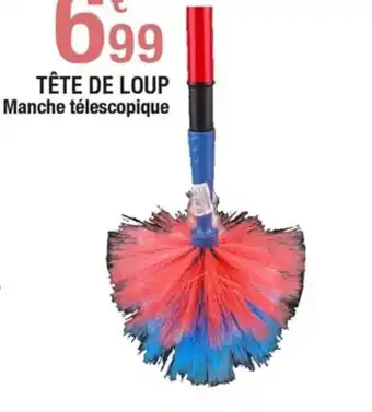 Carrefour TÊTE DE LOUP Manche télescopique offre