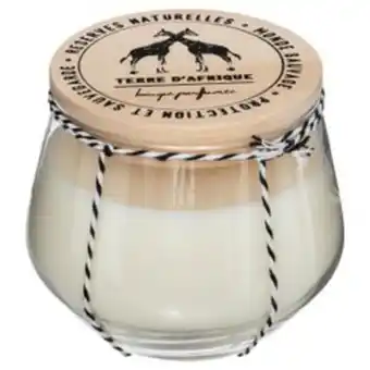 Bougie parfumee verre bois safari 295g