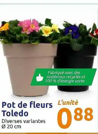Action Pot De Fleurs Toledo offre