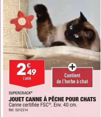 ALDI JOUET CANNE À PÊCHE POUR CHATS offre