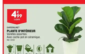 ALDI PLANTE D'INTÉRIEUR Variétés assorties. offre