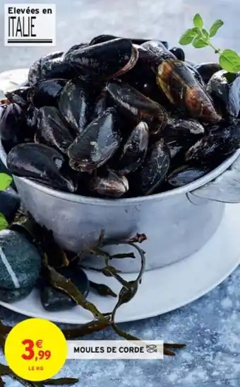 Intermarché MOULES DE CORDE offre