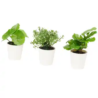 Action Plantes artificielles avec pot home accents offre