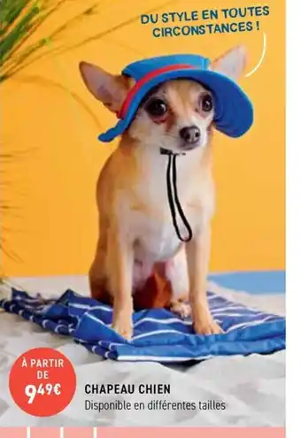 CHAPEAU CHIEN