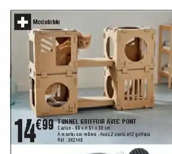 Tunnel Griffoir Avec Pont