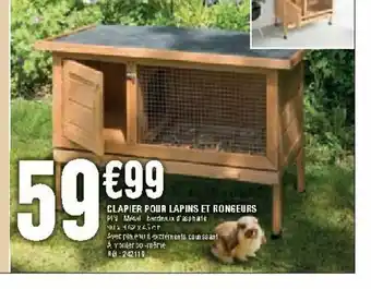 Clapier Pour Lapins Et Rongeurs