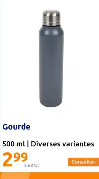 Action Gourde offre