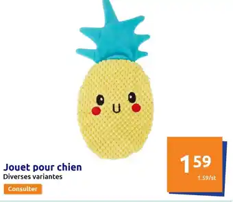 Jouet pour chien