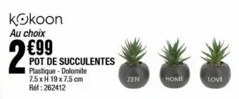 Pot de succulentes