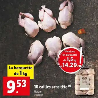 Lidl 10 cailles sans tête (4) offre