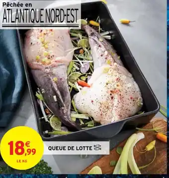 Intermarché QUEUE DE LOTTE offre