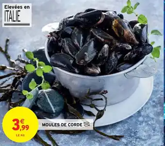 Intermarché MOULES DE CORDE offre