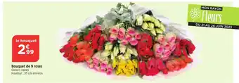 Bi1 Bouquet de 9 roses Coloris variés offre