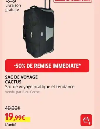Intermarché SAC DE VOYAGE CACTUS offre