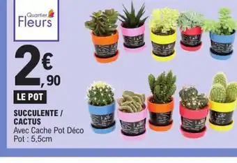 LE POT SUCCULENTE / CACTUS