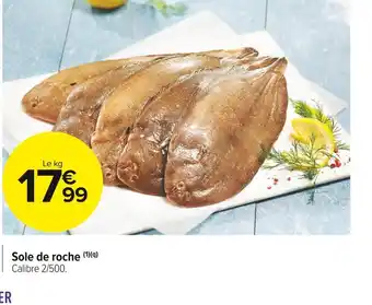 Sole de roche
