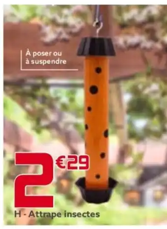 Gifi H-Attrape insectes offre
