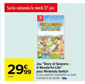 Carrefour Jeu "Story of Seasons : A Wonderful Life" pour Nintendo Switch offre