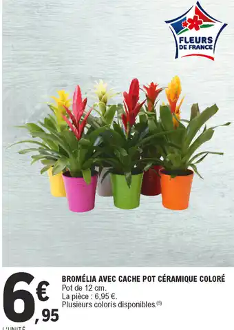 E.Leclerc Bromélia avec cache pot céramique coloré offre