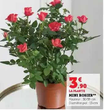 Super U MINI ROSIER** offre