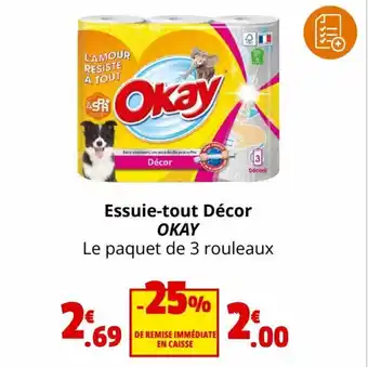 Coccinelle Express Essuie-tout Décor OKAY offre