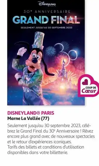 Auchan DISNEYLAND® PARIS Marne La Vallée (77) offre