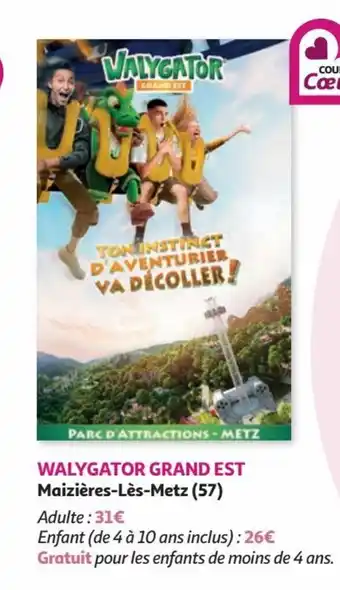 Auchan WALYGATOR GRAND EST Maizières-Lès-Metz (57) offre