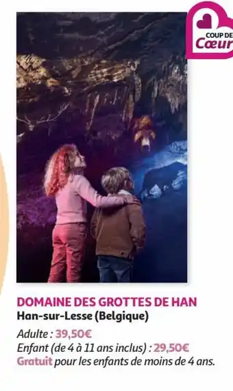 Auchan DOMAINE DES GROTTES DE HAN Han-sur-Lesse (Belgique) offre