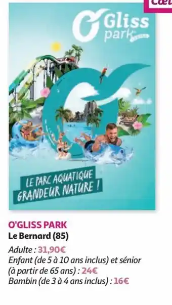 Auchan O'GLISS PARK Le Bernard (85) Adulte: 31,90€ offre