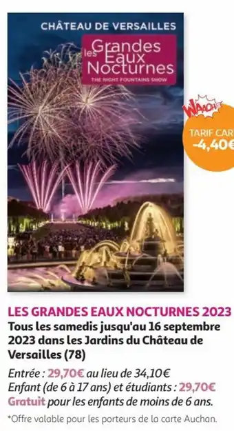 Auchan LES GRANDES EAUX NOCTURNES 2023 Tous les samedis jusqu'au 16 septembre 2023 dans les Jardins du Château de Versailles (78) offre