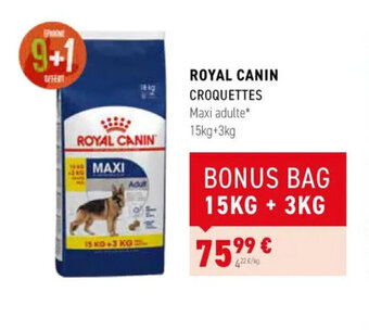 Tom&Co ROYAL CANIN CROQUETTES offre