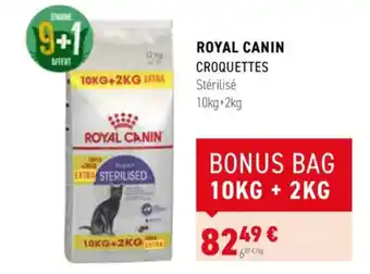 Tom&Co ROYAL CANIN CROQUETTES offre