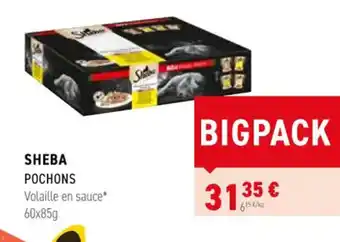 Tom&Co SHEBA POCHONS offre
