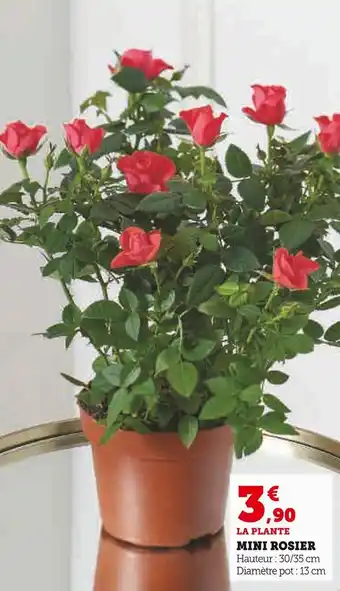 U Express Mini rosier offre