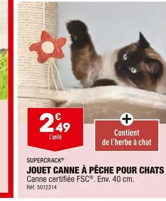 ALDI Supercrack jouet canne à pêche pour chats offre