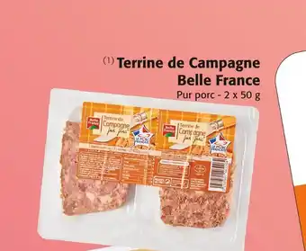 Belle france terrine de campagne