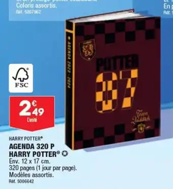 ALDI HARRY POTTER AGENDA 320 P HARRY POTTER® ✪ offre
