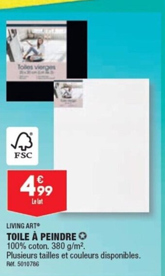 ALDI TOILE À PEINDRE offre