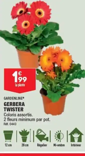 GERBERA TWISTER