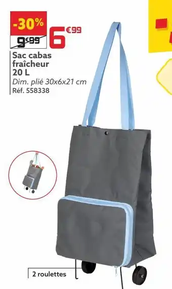 Gifi Sac cabas fraîcheur 20 l offre