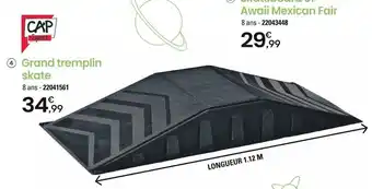 4 Grand tremplin skate