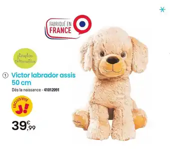 1 Victor labrador assis