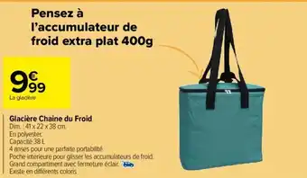 Carrefour Market Glacière Chaine du Froid Dim.: 41 x 22 x 38 cm. offre