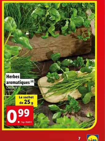 Lidl Herbes aromatiques (4) offre