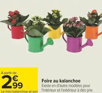 Carrefour Foire au kalanchoe offre