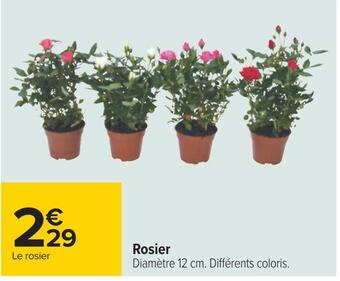 Carrefour Rosier offre