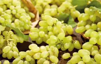 Lidl Raisin blanc Bio offre