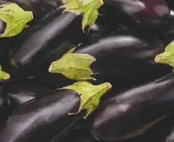 Carrefour Aubergine offre