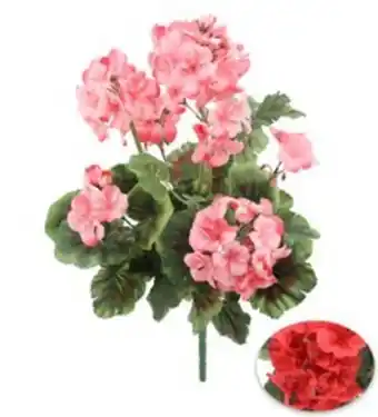 Bouquet geraniums h.47cm