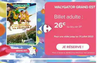 Carrefour Market WALYGATOR GRAND EST offre